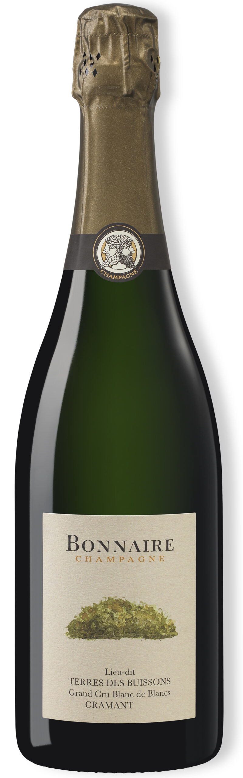 image of Champagne Bonnaire Les Terres des Buissons Blanc de Blancs Grand Cru 2017